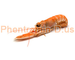 Chitosan, which is derived from the exoskeletons of shrimp and other crustaceans, is a gentle fat blocking weight loss supplement.