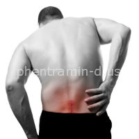 Cause of Back Pain After Workouts 
